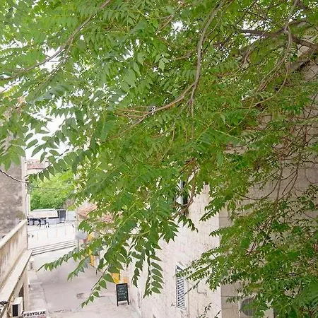 Jasenka * Split